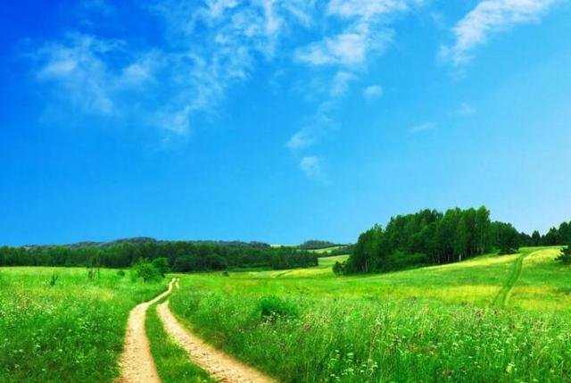 悲哀的中年人_悲催的中年人_中年人最悲惨的生活方式