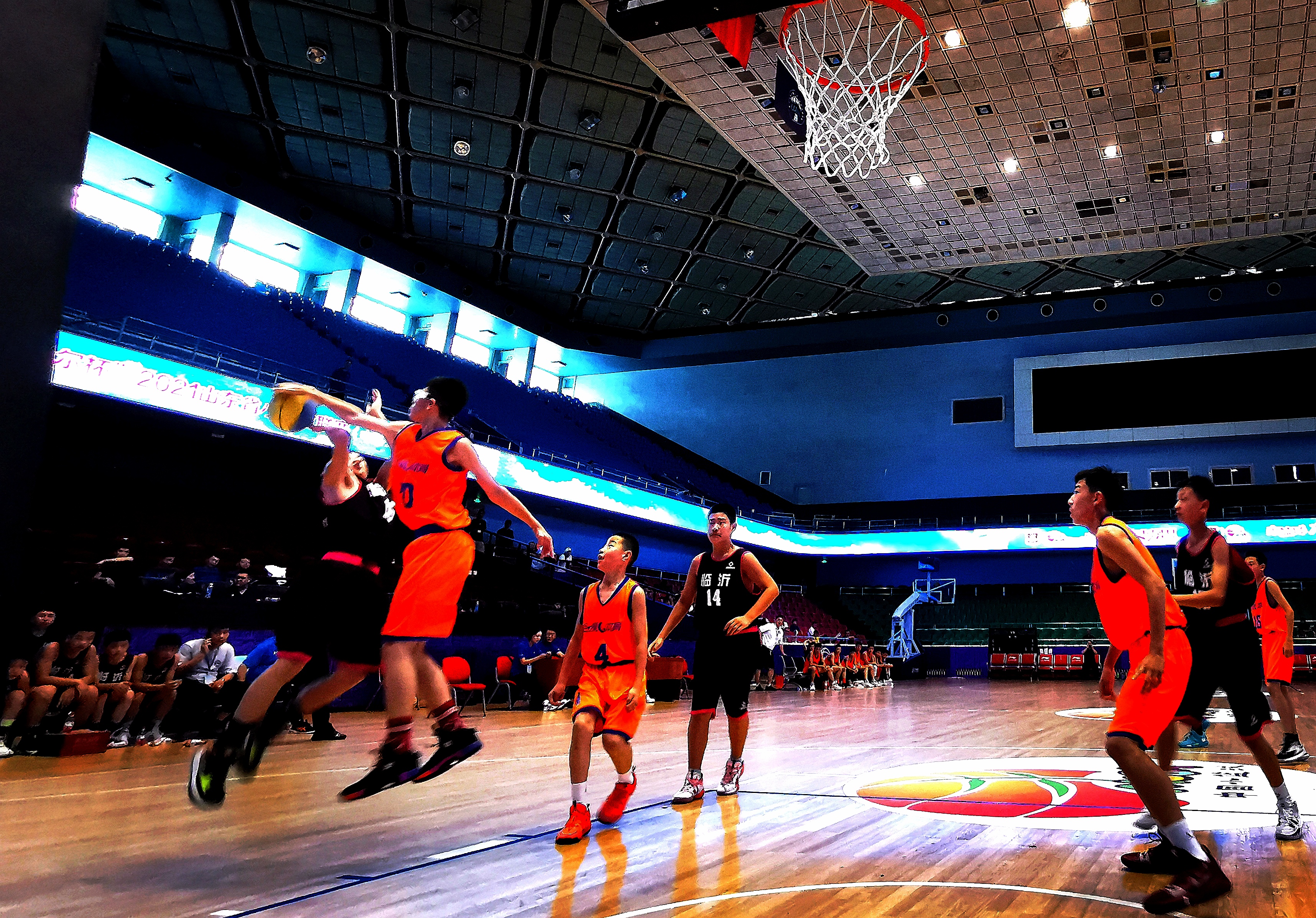 济南青岛篮球联赛冠军_篮球济南联赛青岛冠军是谁_山东济南篮球