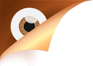 2017虎门新湾社区XXX冠军篮球挑战赛