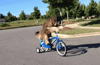 如何评价游泳冠军女子_游泳女子冠军评价语_游泳女子冠军评价视频