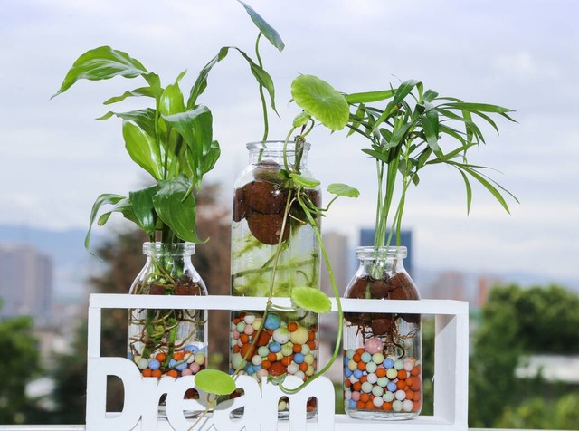 饮料瓶的小制作_生活小窍门饮料瓶_饮料瓶生活小妙招