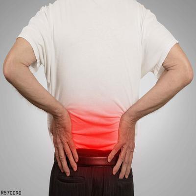 蛇的生存法则_乌梢蛇生活方式_蛇的生活方式