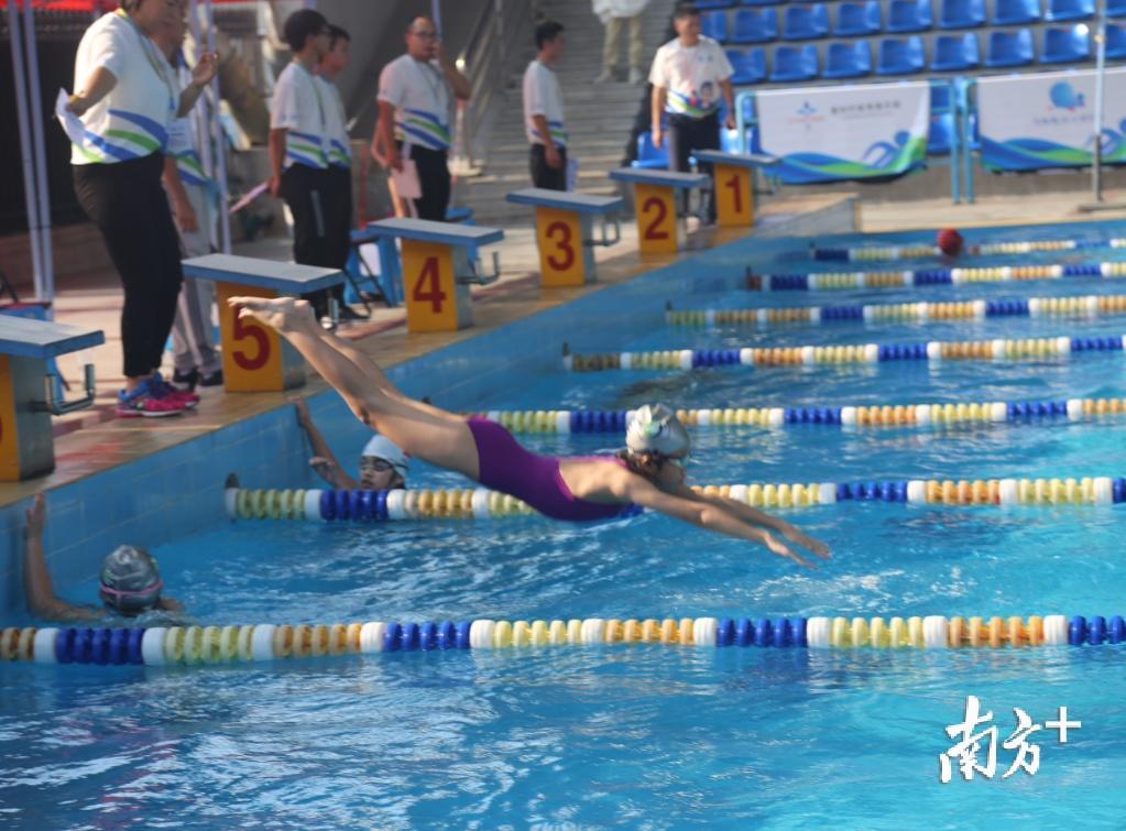东莞游泳冠军_塘厦游泳冠军_东莞游泳世界冠军