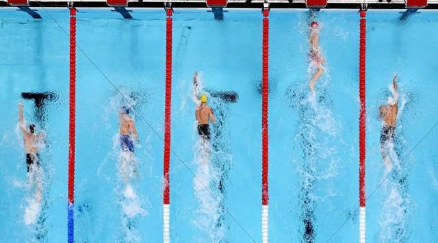 游泳冠军女子_女游泳世界冠军梁_世界游泳冠军梁顺添