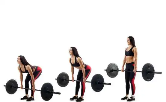 减脂健身饮食计划_健身减脂饮食计划_健身房运动顺序减脂